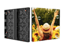 Outdoor LED Screen