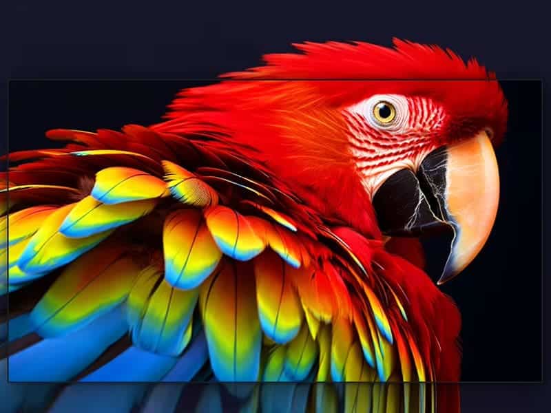 Indoor Small Pitch LED Screen