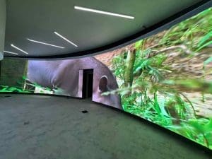 Curved LED Display Screen
